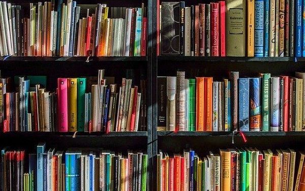 Библиотека в Бурятии пошутила по поводу ажиотажа в торговых сетях