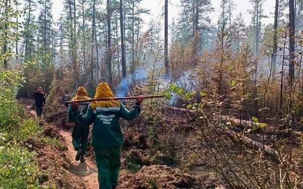 Лесной спецназ из Бурятии работает в Якутии