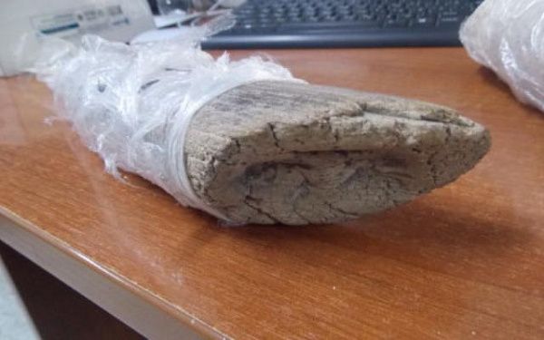 Китаец пытался вывезти из России фрагменты бивней мамонта