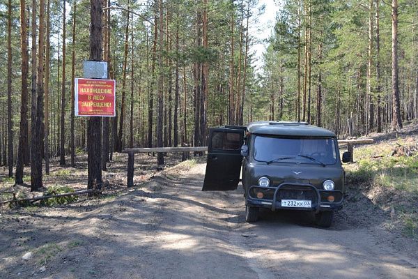 В лесах Бурятии выявили почти 2 тысячи нарушений правил пожарной безопасности 