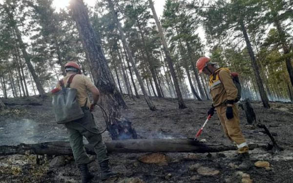 В Бурятии ликвидировали лесной пожар