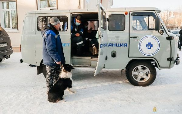 7 декабря в мкрн Новая Комушка и Горького пройдет массовый межведомственный рейд по собакам