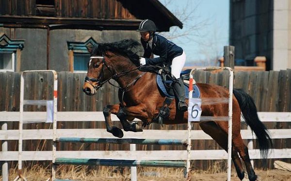 Соревнования по конному спорту в новом формате пройдут в Бурятии