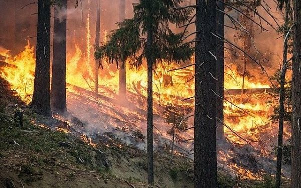 В Бурятии ликвидировали 12 лесных пожаров