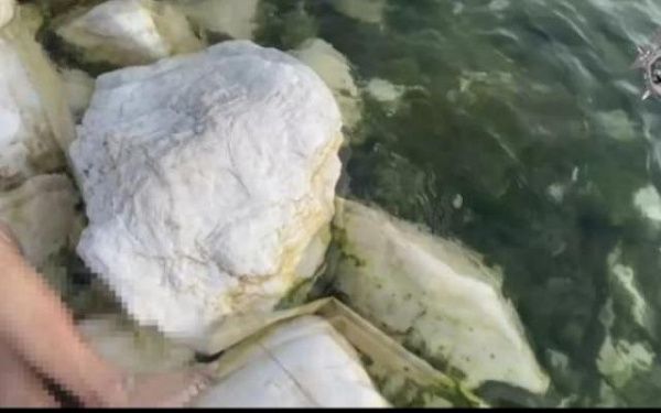 В Бурятии осудят директора предприятия за гибель человека на Байкале