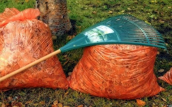 Жителей Бурятии призвали убрать мусор на своих участках