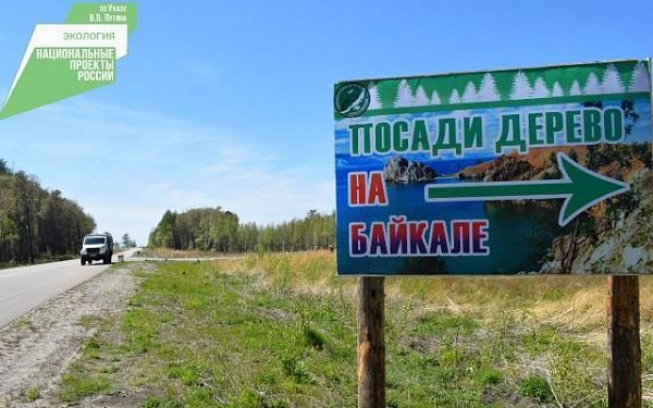 В Бурятии почти 200 человек посадили деревья на Байкале