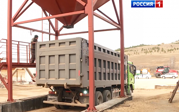 В Монголии численность погибшего домашнего скота уже превысила 6 млн голов