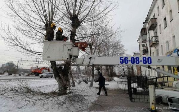 В Улан-Удэ утверждён порядок проведения обрезки деревьев