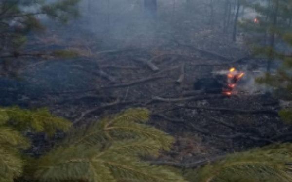С приходом весны в лесах Бурятии полыхают пожары 