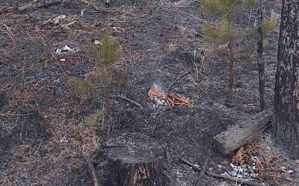 В Бурятии за сутки потушили четыре лесных пожара