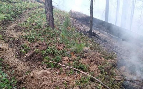 В Бурятии 153 человека сражались с лесными пожарами