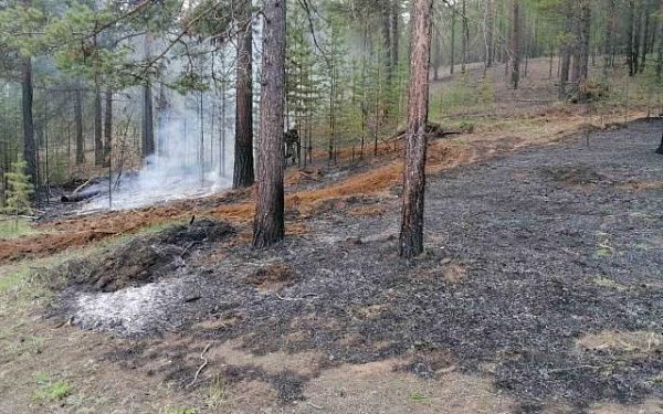 В Бурятии тушили 2 лесных пожара