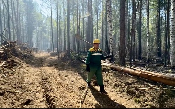 В Бурятии нет лесных пожаров