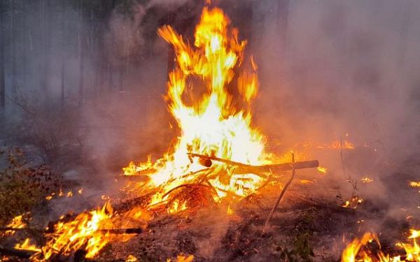 В Бурятии продолжают тушить лесные пожары