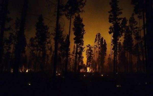 В Бурятии локализовали сложный лесной пожар