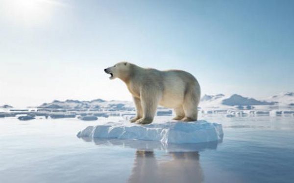 Жители Бурятии могут отправиться на экспедицию в Арктику
