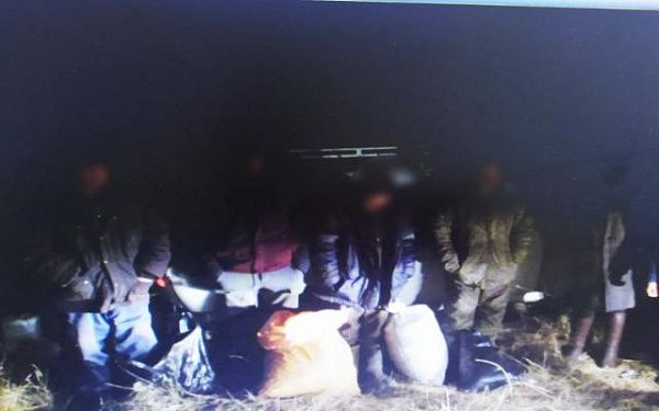 В Джидинском районе полицейскими задержаны сборщики конопли