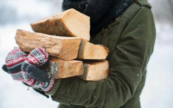 «Зима близко»: лесники Бурятии призывают заранее подготовить дрова