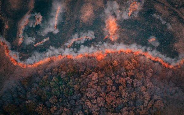 В Бурятии за прошедшие сутки ликвидировали два лесных пожара