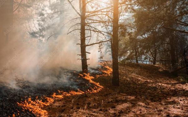 В районе Бурятии 70 человек с трудом потушили пожар на кладбище и в лесу