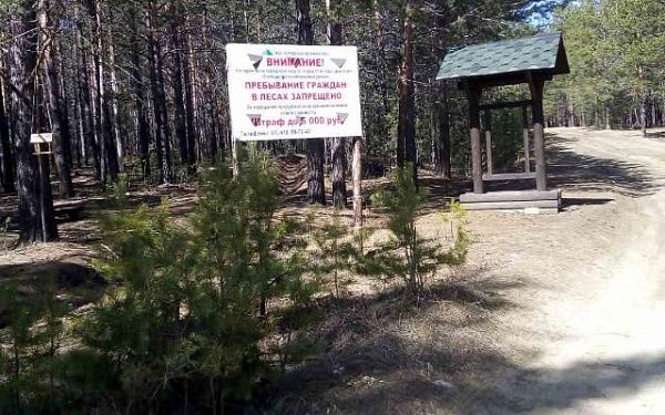 Городские леса закрыты для пребывания людей до 13 июля
