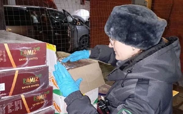 В Кяхте перевозили 130 кг сухофруктов без фитосанитарных сертификатов