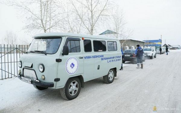В Улан-Удэ прошел седьмой масштабный рейд по собакам