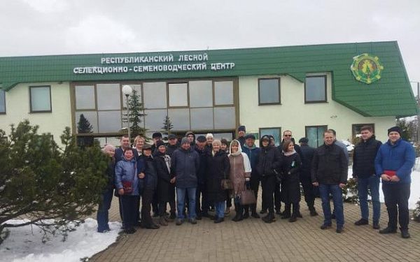 Лесники Бурятии изучают опыт лесовосстановления в Республике Беларусь