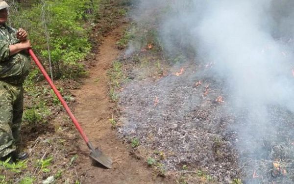 За прошедшие сутки проводились работы по тушению лесного пожара в Прибайкальском районе