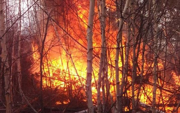 В Бурятии тушили 3 лесных пожара вблизи населенных пунктов