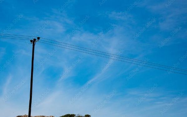 Воры спилили восемь деревянных опор линии электропередачи в районе Бурятии   