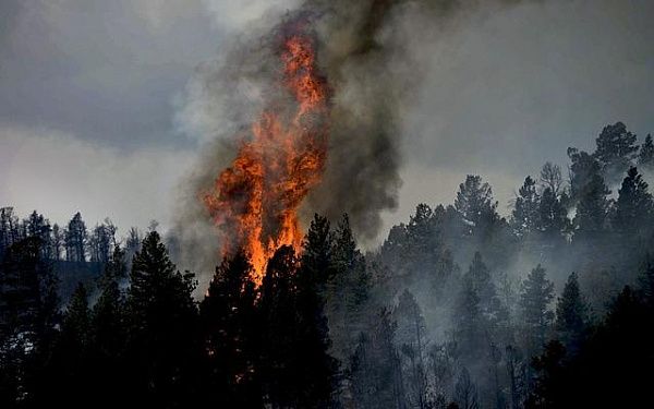 В Бурятии тушили лесной пожар