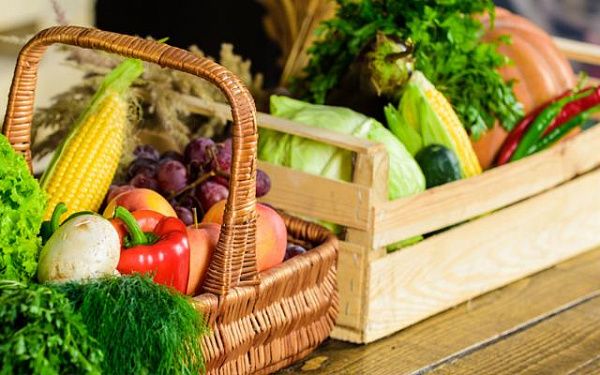 Россельхозбанк объявил о создании фонда «Органика» по поддержке органического сельского хозяйства