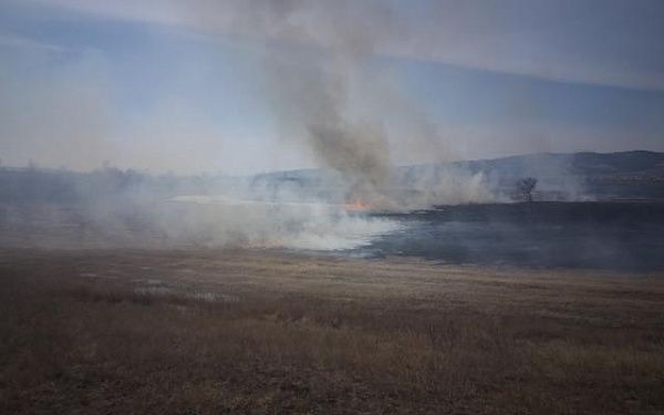 С начала года в Бурятии сгорело более 100 гектаров сухой растительности