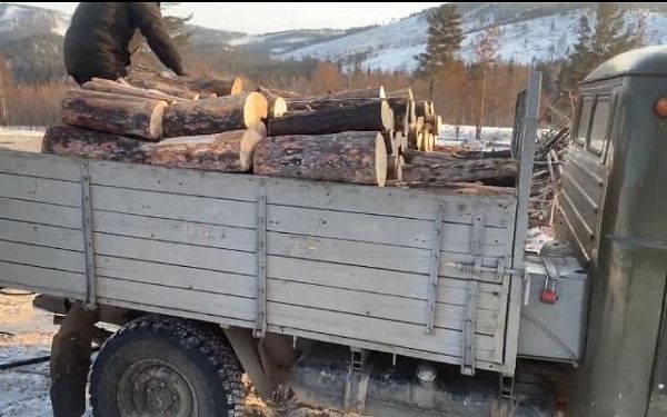 Лесники Бурятии помогли дровами семьям бойцов СВО