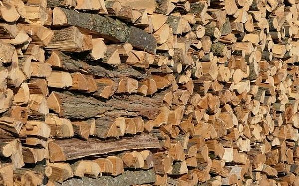 Установлены предельные цены на дрова