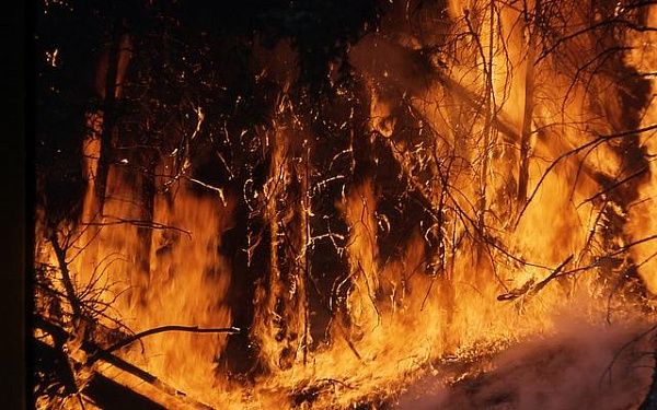 В Бурятии ликвидировали 5 лесных пожаров