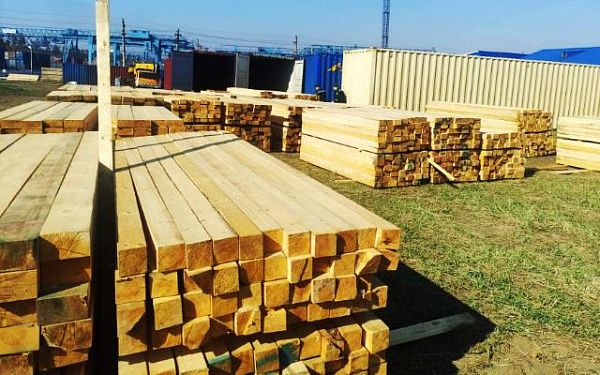 Бизнесмен из Бурятии незаконно вывез древесину на 4 млн рублей
