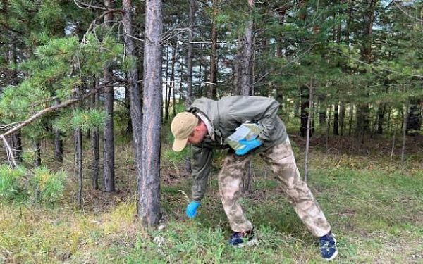 Это не больно: ведомства Бурятии совместно предупреждают бешенство 