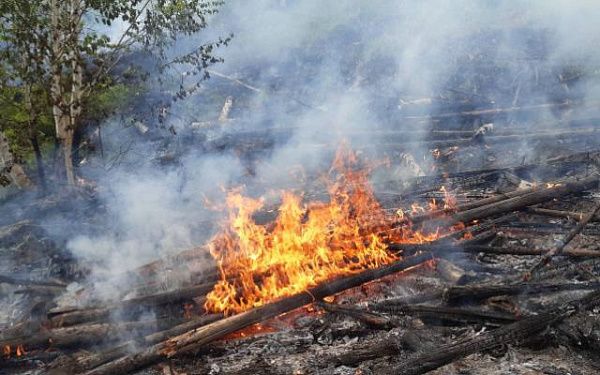 В Бурятии из-за грозы возник лесной пожар