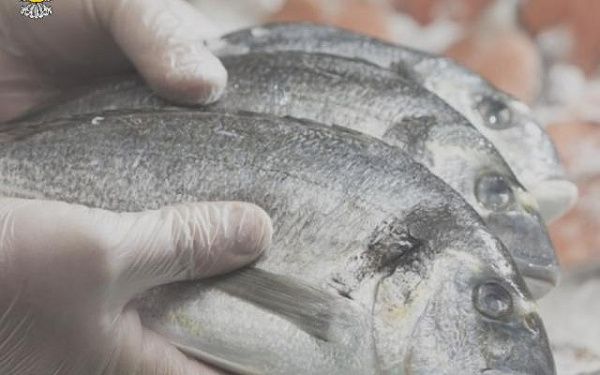 В Бурятии взяли на особый контроль рыбную продукцию из Японии