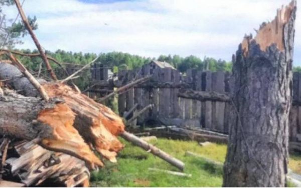 Шторм на Байкале повалил деревья и повредил огороды