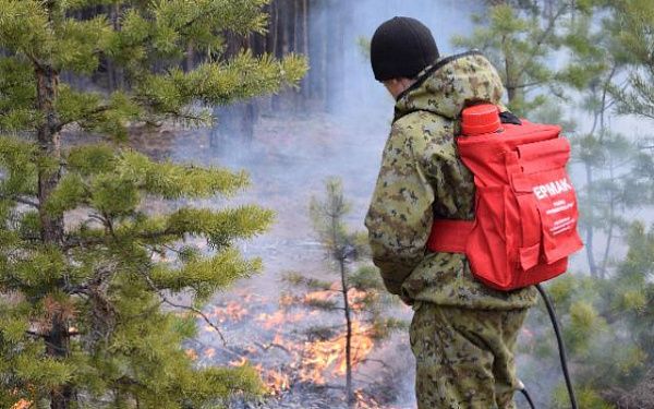В лесах Бурятии начались профилактические выжигания