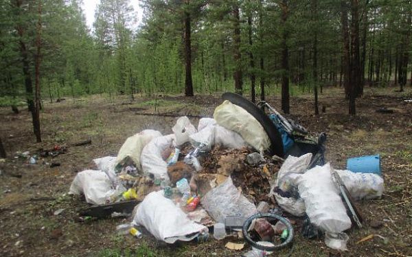 В Хоринском районе местный житель высыпал мусор в лес