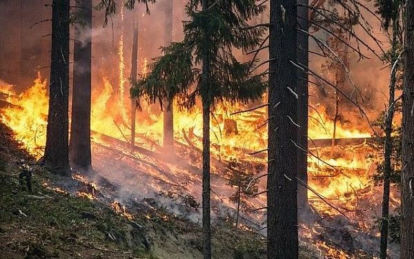 В Бурятии ликвидировали 2 лесных пожара