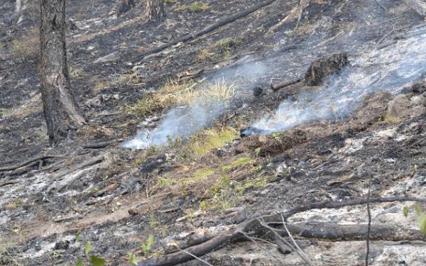 В Закаменском районе потушили лесной пожар