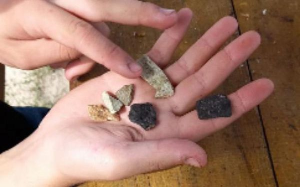 В Бурятии юные лесники в экспедиции нашли древние артефакты