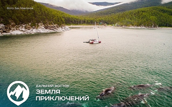 На конкурс «Дальний Восток – Земля приключений» поступило более 200 фильмов со всей страны