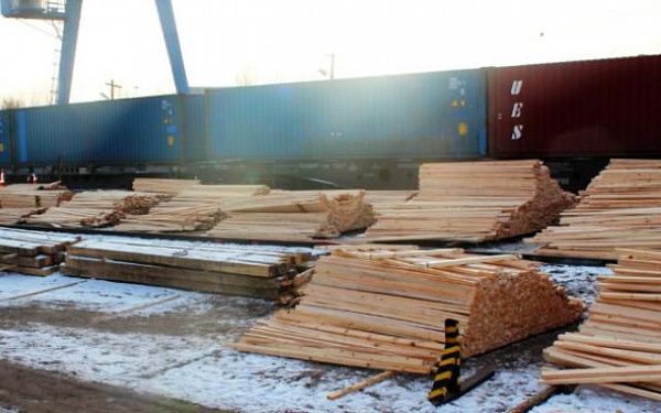 Бурятские таможенники пресекли незаконный вывоз более 200 кубометров древесины